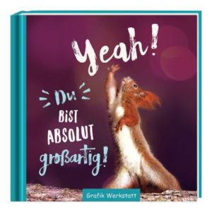 Minibuch – Yeah! Du bist absolut großartig!