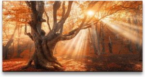 Herbstbild - magischer alter Baum