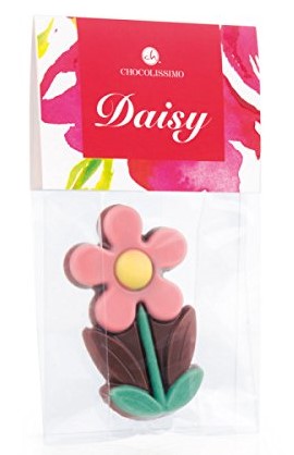 Choko-Daisy - Blume aus Schokolade