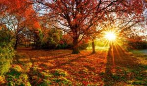 Geschenkideen im Herbst – Bildmotiv: Herbstlandschaft