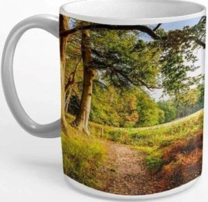Tasse mit Herbstmotiv "Waldweg" – schönes Geschenk im Herbst