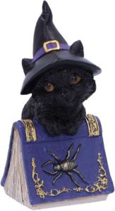 Halloween Deko – schwarze Katze auf Zauberbuch