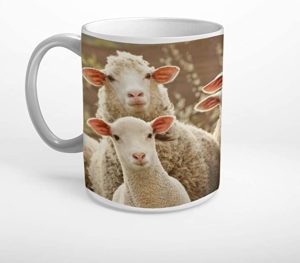 Tasse mit Fotomotiv Schafe
