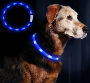 LED Leuchthalsband für Hunde - Geschenke für Hundebesitzer*innen