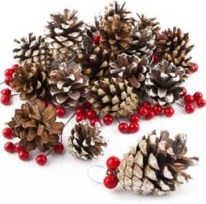 Set mit 18 Zapfen und roten Beeren – Christbaumdeko