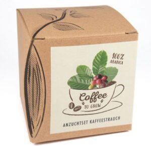 Box mit Anzuchtset für Kaffee