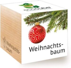 Ecocube Weihnachtsbaum, Holzwürfel mit Pflanzgranulat und Samen für einen Weihnachtsbaum