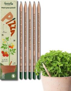 5 Bleistifte mit Kräuter- und Gemüsesamen: Chili, Basilikum, Oregano, Rucola und Cherrytomate, nachhaltiges Geschenk für Pizzaliebhaber